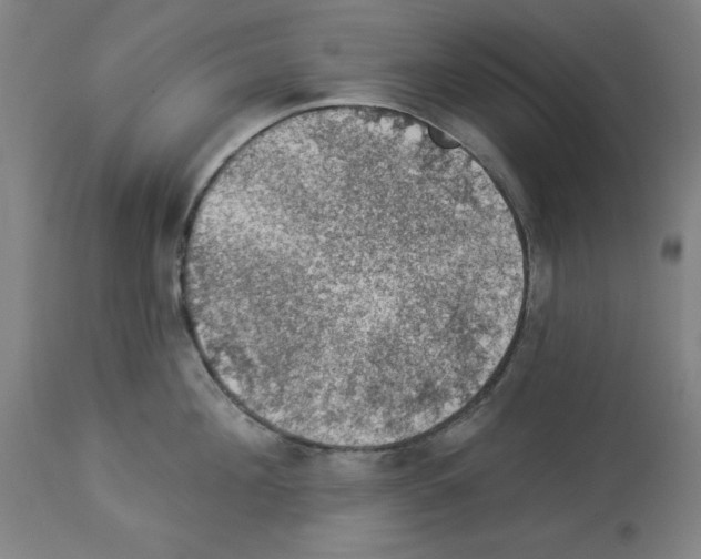 X0000112910908200910051040