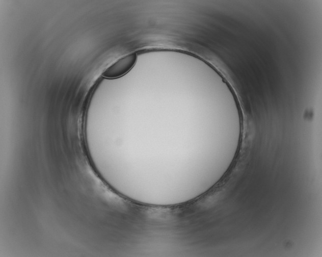X0000112910909200910051040
