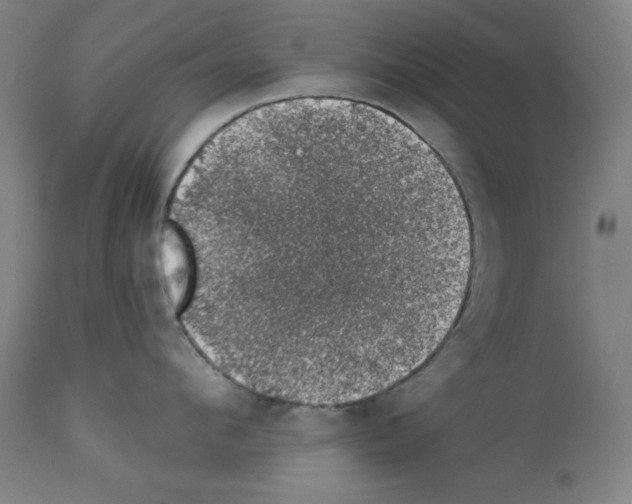 X0000112910912200910051040