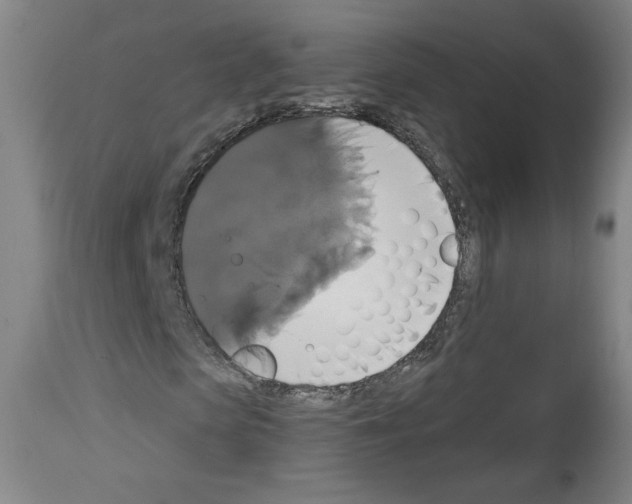 X0000112910913200910051039