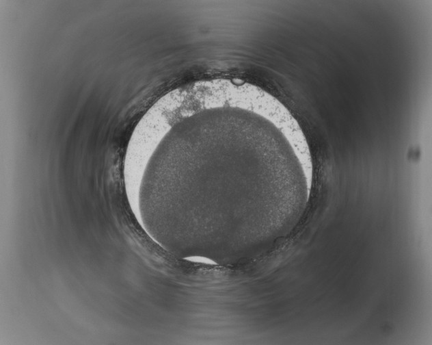 X0000112910914200910051039