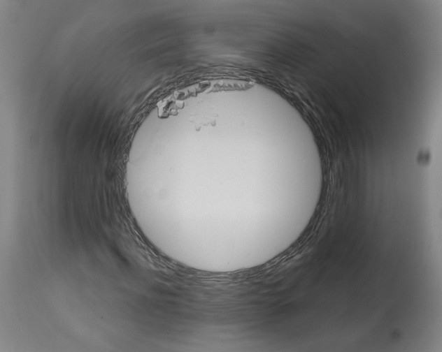 X0000112910916200910051039