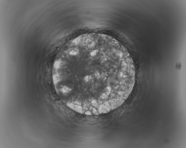 X0000112910917200910051039