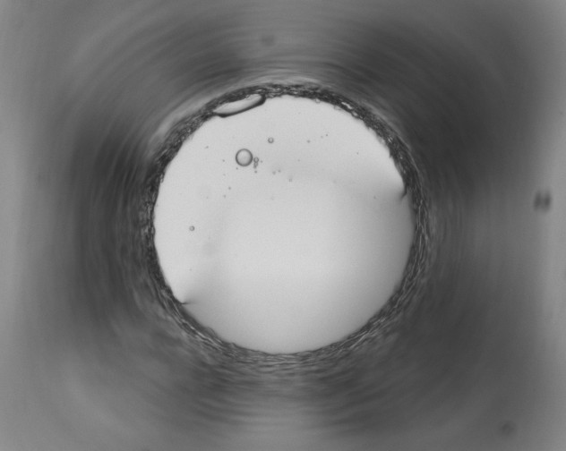 X0000112910920200910051039