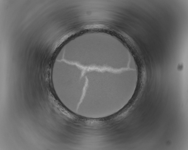 X0000112910921200910051039
