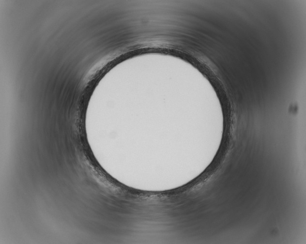 X0000112910922200910051039