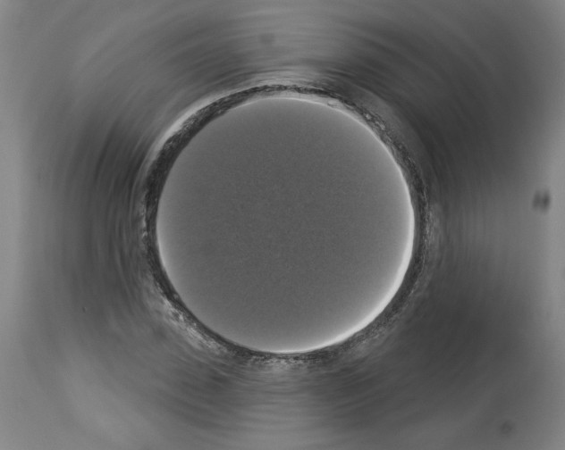 X0000112910923200910051039