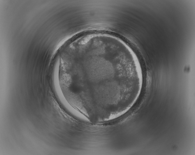 X0000112910925200910051039