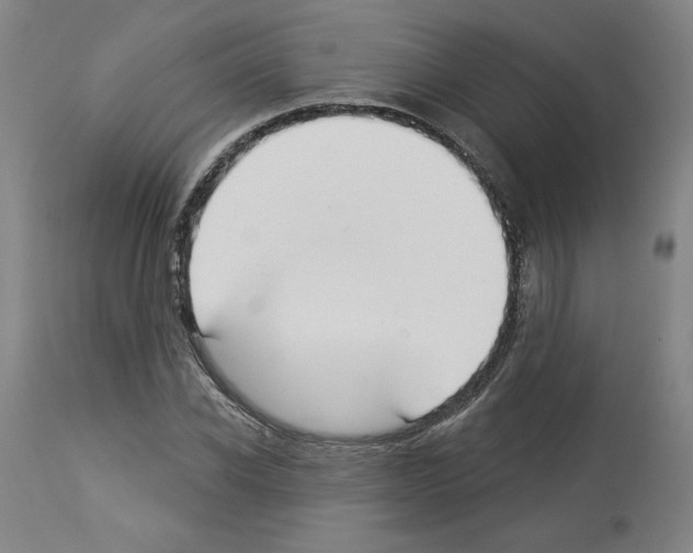 X0000112910926200910051039