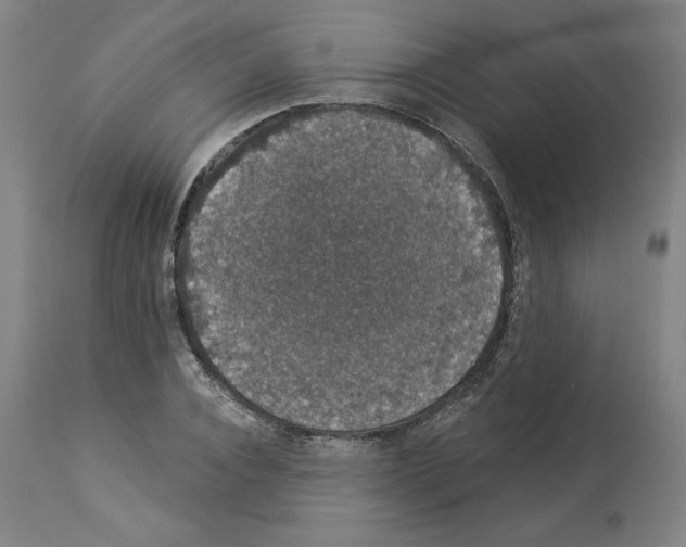 X0000112910928200910051039