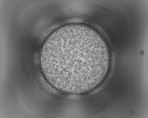 X0000112910929200910051039