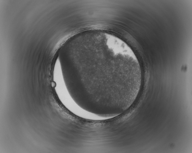 X0000112910930200910051039