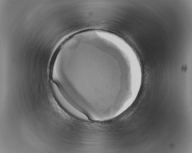 X0000112910932200910051039