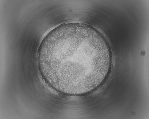 X0000112910933200910051039