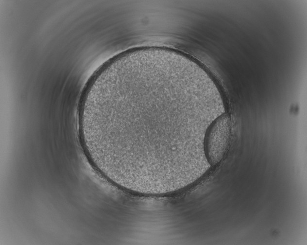 X0000112910936200910051039