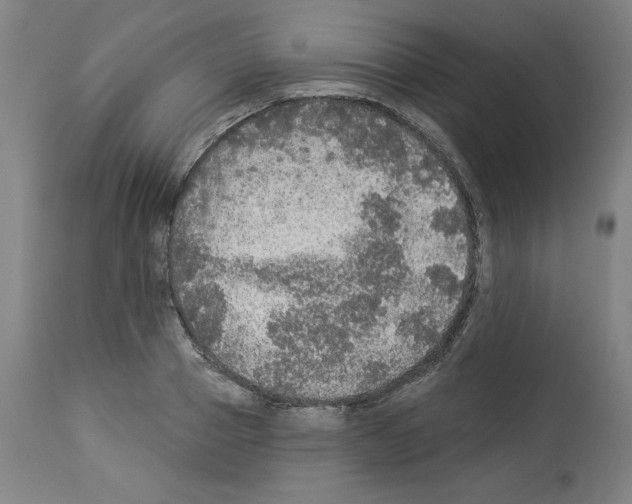 X0000112910937200910051039