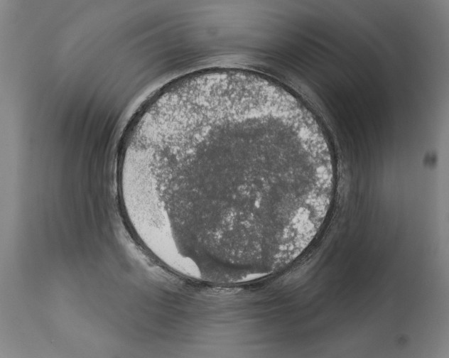 X0000112910939200910051039