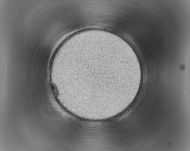 X0000112910940200910051039