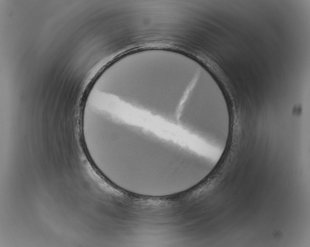 X0000112910941200910051039