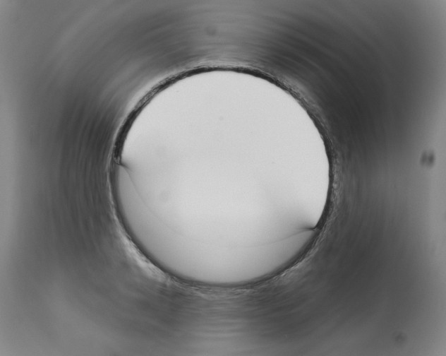 X0000112910942200910051039