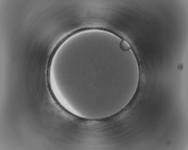 X0000112910943200910051039