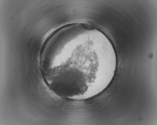 X0000112910944200910051039