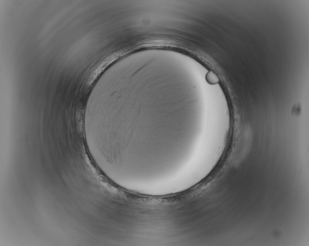 X0000112910945200910051039