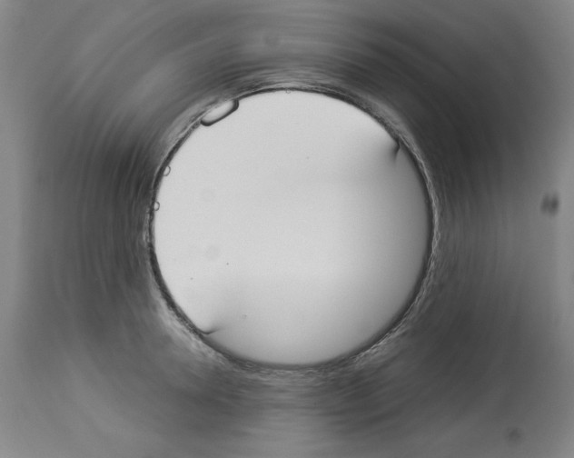 X0000112910946200910051039