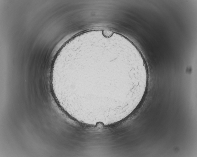 X0000112910949200910051039