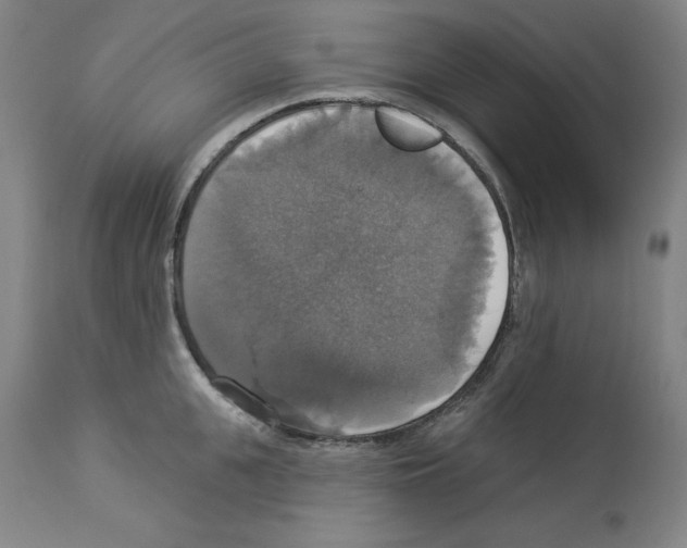 X0000112910951200910051039