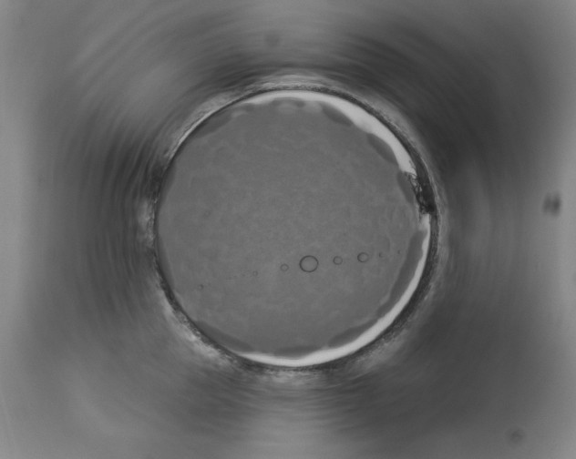X0000112910953200910051039