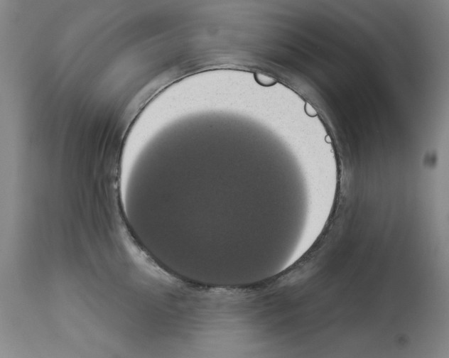 X0000112910954200910051040