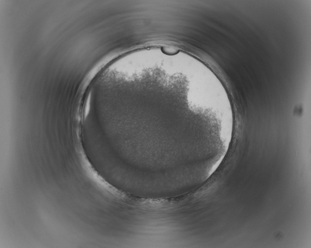 X0000112910955200910051040