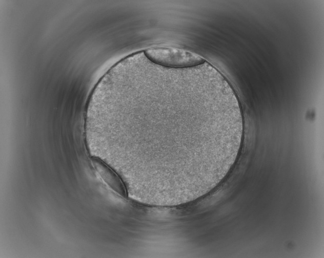 X0000112910956200910051040