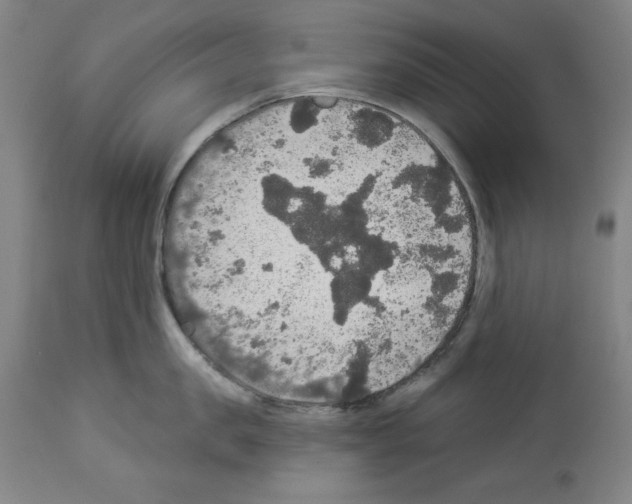 X0000112910957200910051040