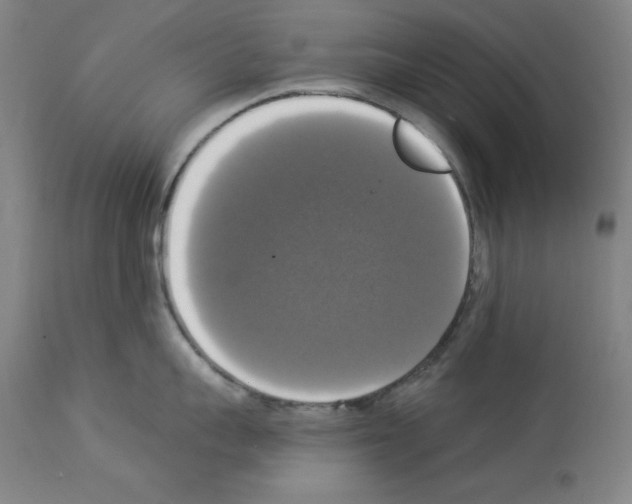 X0000112910959200910051040