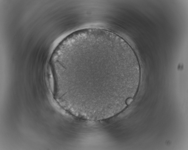 X0000112910960200910051040