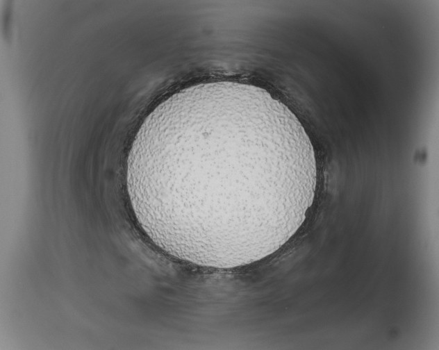 X0000112910961200910051039