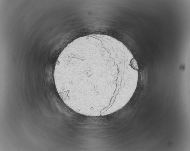 X0000112910963200910051039