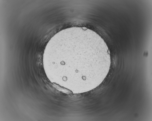 X0000112910964200910051039