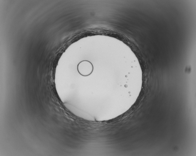 X0000112910965200910051039
