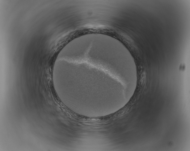 X0000112910966200910051039