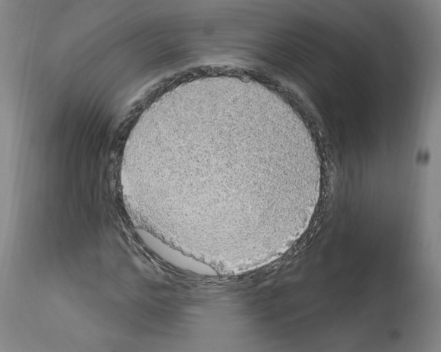 X0000112910968200910051039