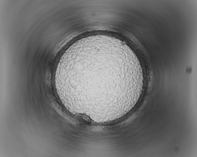 X0000112910969200910051039