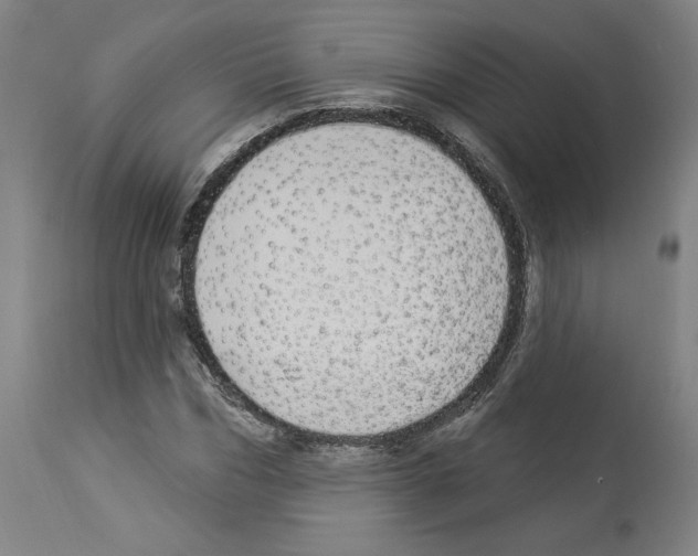 X0000112910970200910051039