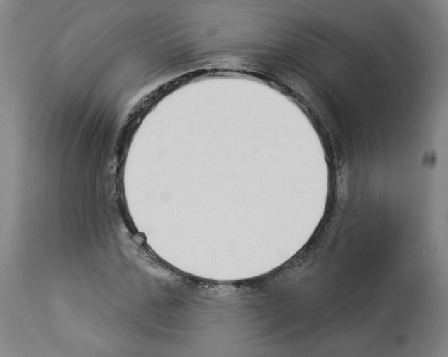 X0000112910971200910051039