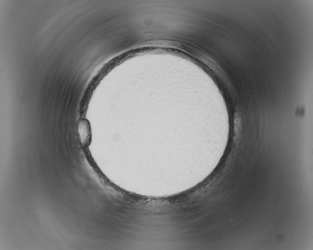 X0000112910972200910051039
