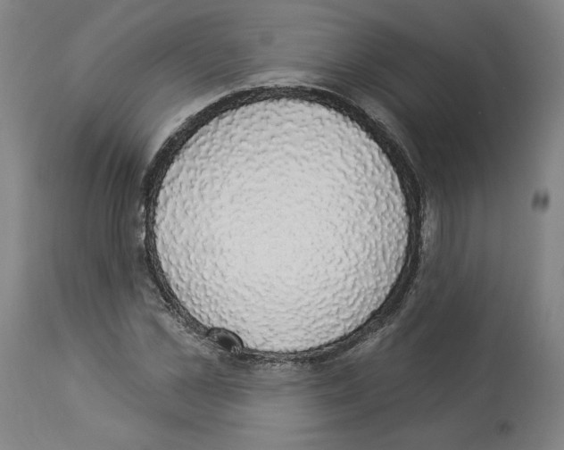 X0000112910973200910051039