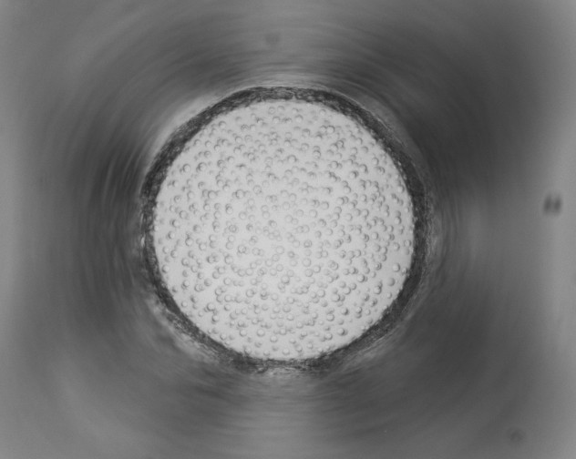 X0000112910974200910051039