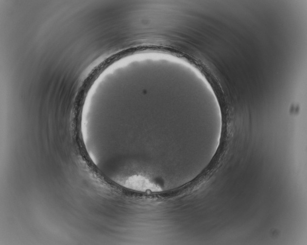 X0000112910975200910051039